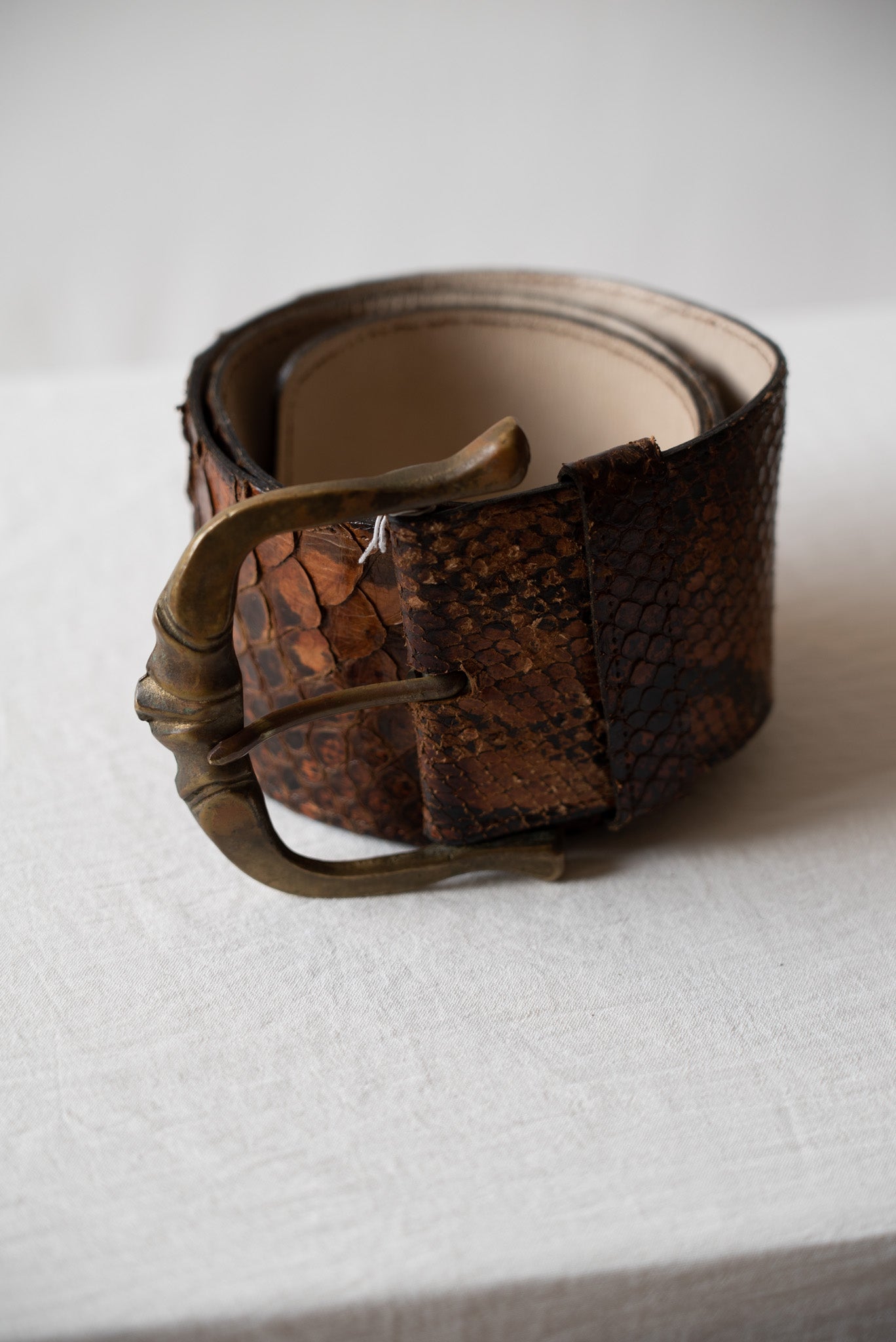 Wide Snake Skin Waist Belt