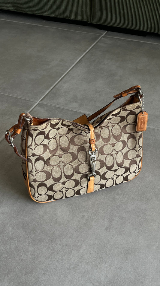 Coach Signature Hampton Hobo Bag